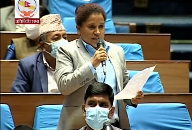 लोकतन्त्र र गणतन्त्र संस्थागत गर्न संसद्लाई बिजनेस दिऔं: सांसद विशुंखे