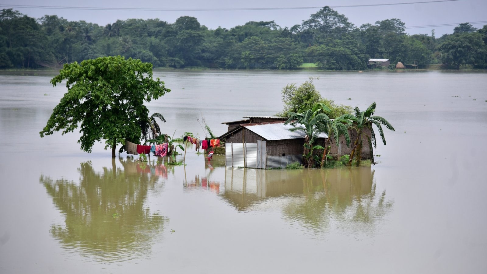 कोशीमा पानीको बहाव बढ्दै, सप्तरीका ५ सय घर डुबानमा image