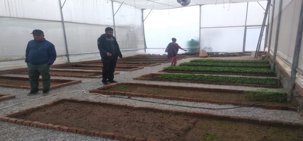 वन नर्सरी सञ्चालनमा आएपछि स्थानीयवासीमा उत्साह