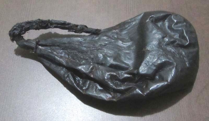 भालुको पित्तसहित एक पक्राउ image