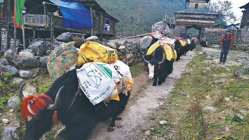 खच्चडको माध्यमबाट खाद्यान्न