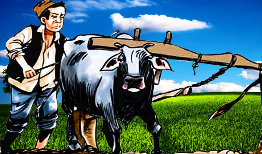 मुक्ति नपाएको गुनासो गर्दै मुक्त हलिया