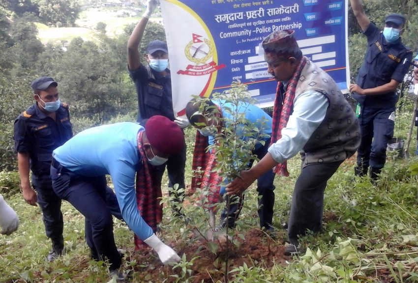 निर्माणाधीन निजामती स्मारक क्षेत्रमा वृक्षरोपण