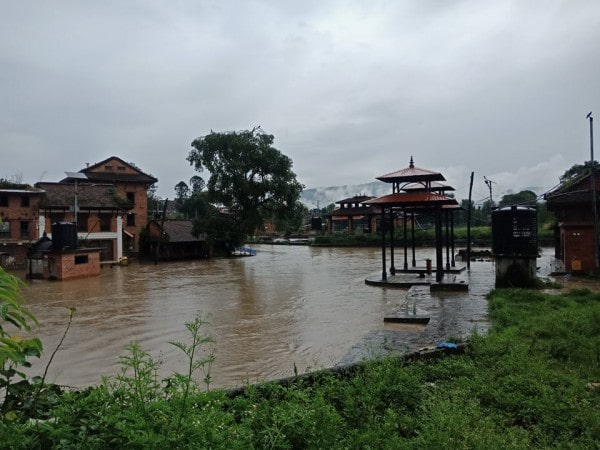 भक्तपुरमा बङ्गुर र हाँसको उद्धार