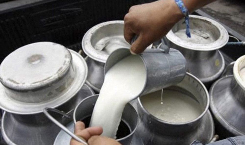 दूध बिक्रीमा किसानलाई ७९ लाख अनुदान वितरण image
