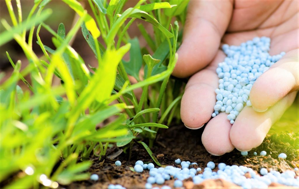 देशभरका मल डिपो रित्तिँदै, किसानहरू समस्यामा