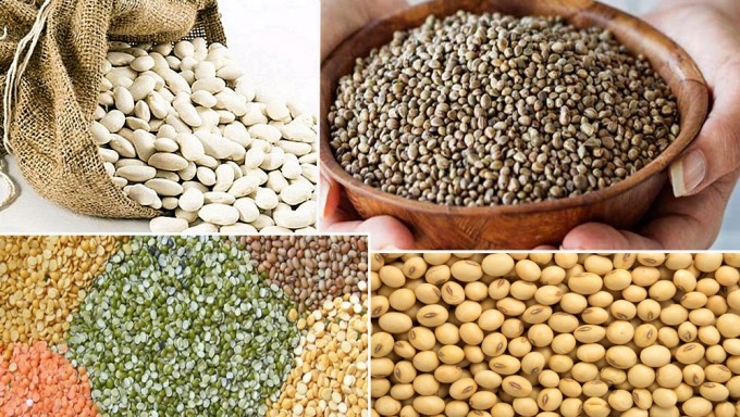 पोषण र खोपमा गरेका लगानीबाट १६ गुनाभन्दा बढी प्रतिफल