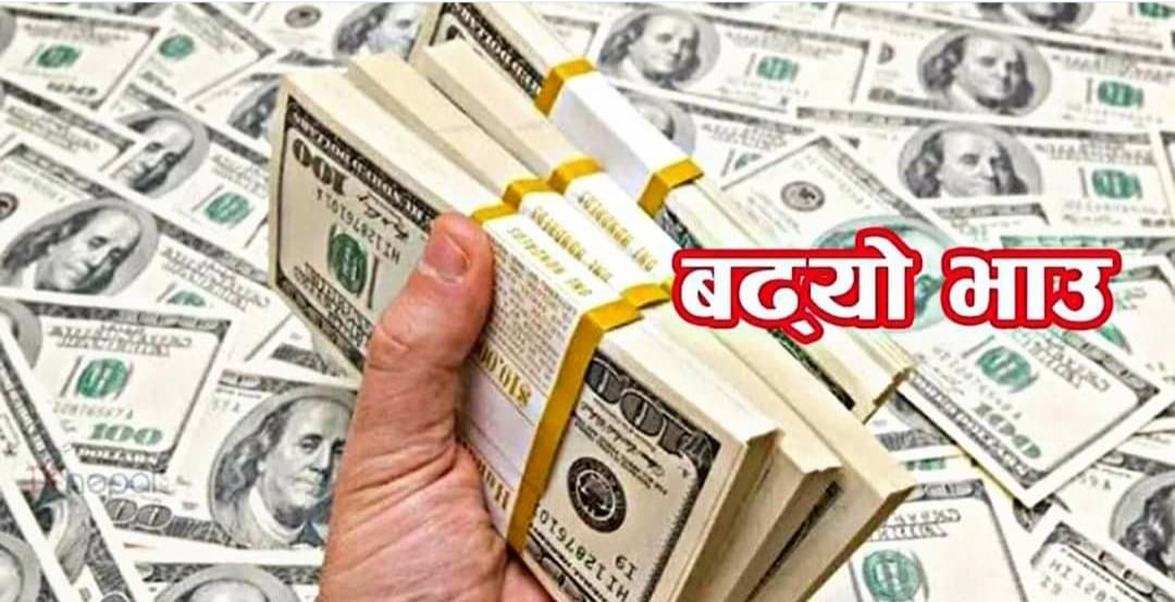 डलरको भाउ बढ्यो image