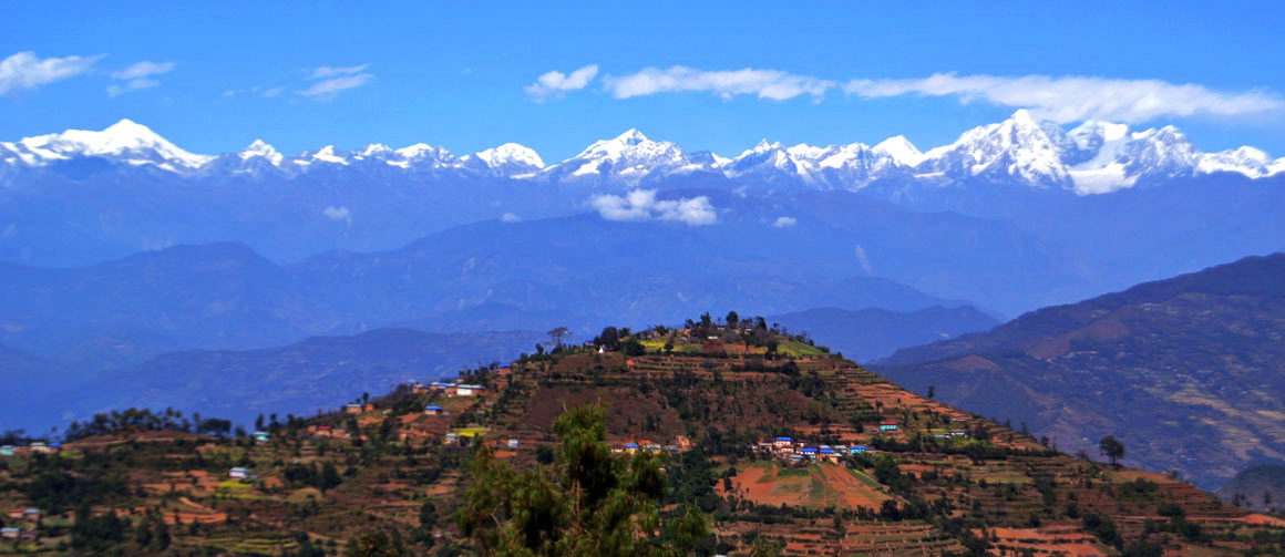धुलिखेल नगर ‘खाद्य हरियाली सहर’ बनाइँदै image
