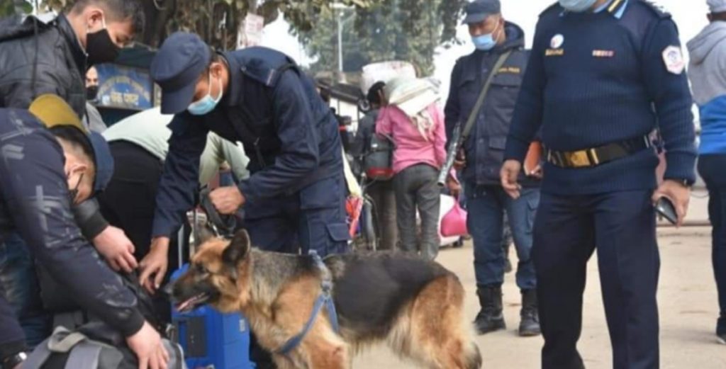 तालिम प्राप्त कुकुरबाट उपत्यकाको सुरक्षा निगरानी गरिने