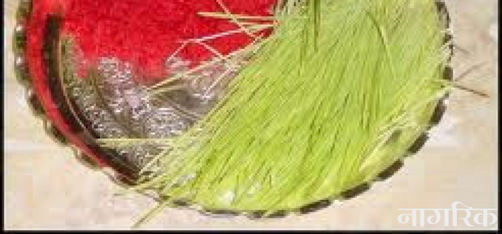 आजबाट दसैँ विसर्जन