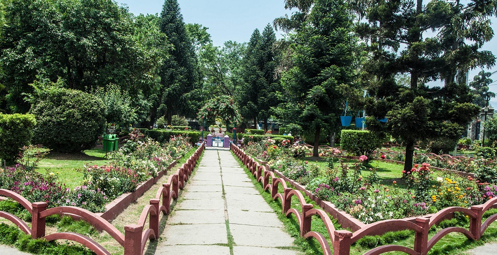 भूमाफियाबाट फिर्ता गरिएको जग्गामा आकर्षक उद्यान