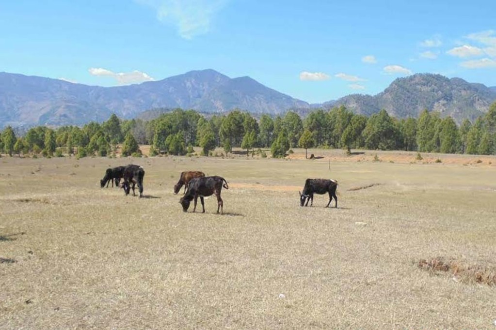 रोल्पाको बडाचौर विमानस्थल खेलमैदानमा परिणत