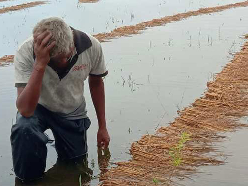 राहतका पर्खाइमा बाँकेका किसान