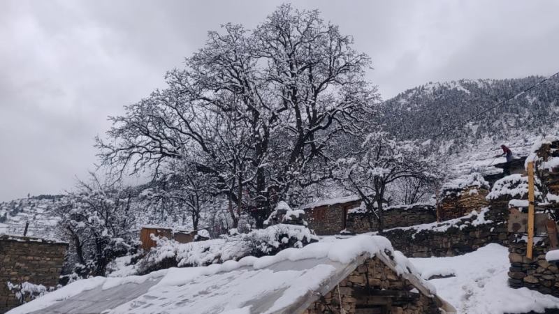 निम्न चापिय क्षेत्रको प्रभाव : तुवाँलो लाग्ने, वर्षा र हिमपात हुने image