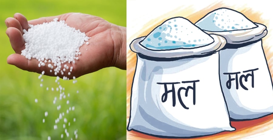 मलको चरम अभाव स् दुई महिनादेखि धनगढीमै डेरा image