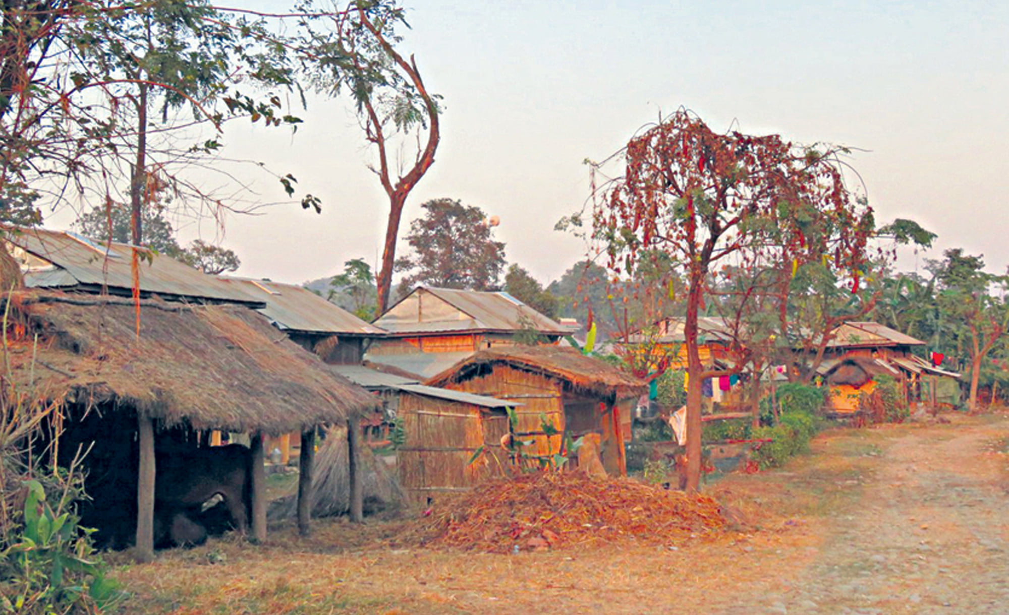 जमिन छ, अधिकार छैन image