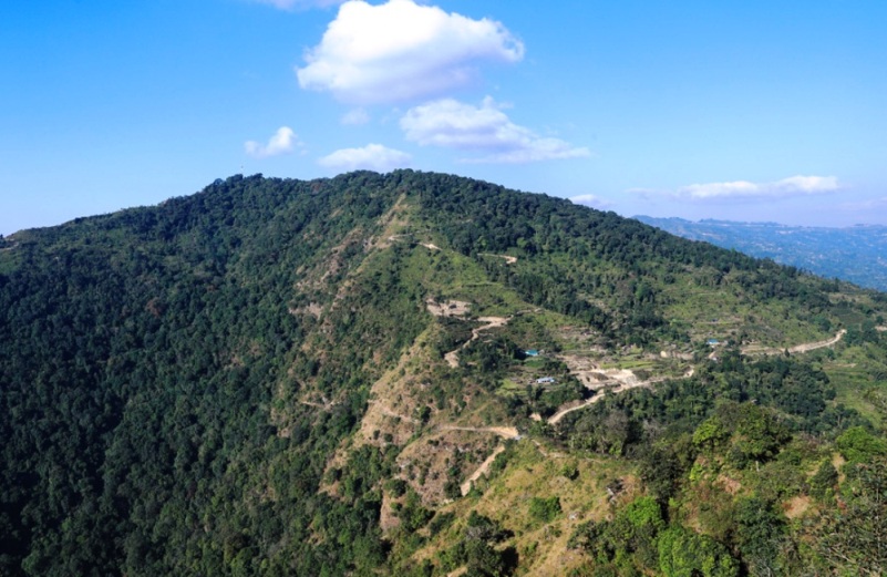 इलाममा बाटैभरि लालीगुराँस र सुनाखरी देखिने ‘करसोङ’ पदमार्ग निर्माण image