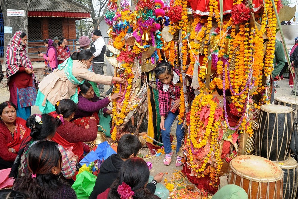 काठमाण्डौको कीर्तिपुरमा सातगाउँले जात्रा मनाइँदै