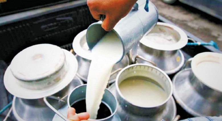 दूधको समयमै भुक्तानी नहुँदा किसान मर्कामा