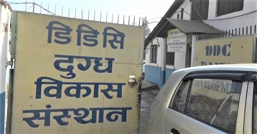 दुग्ध विकास संस्थानको महाप्रवन्धकमा दरखास्त आह्वान