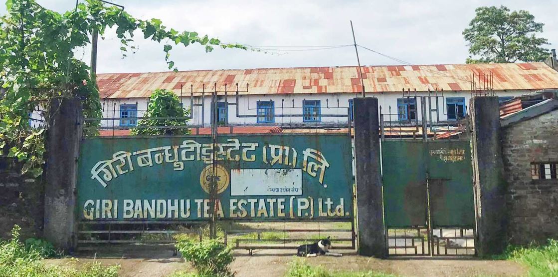 गिरिबन्धु टी इस्टेटको जग्गा सट्टाभर्ना गर्न दिने निर्णय बदर गर्न संघलाई प्रदेश सरकारको आग्रह image