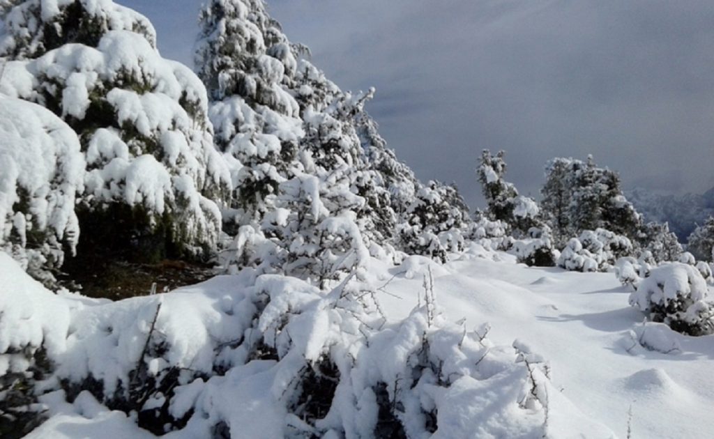 हिमपातले हुम्लाको जनजीवन प्रभावित