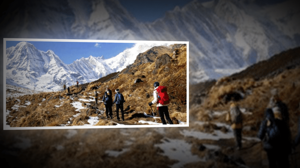 कञ्चनजङ्घा क्षेत्रमा घटे पर्यटक