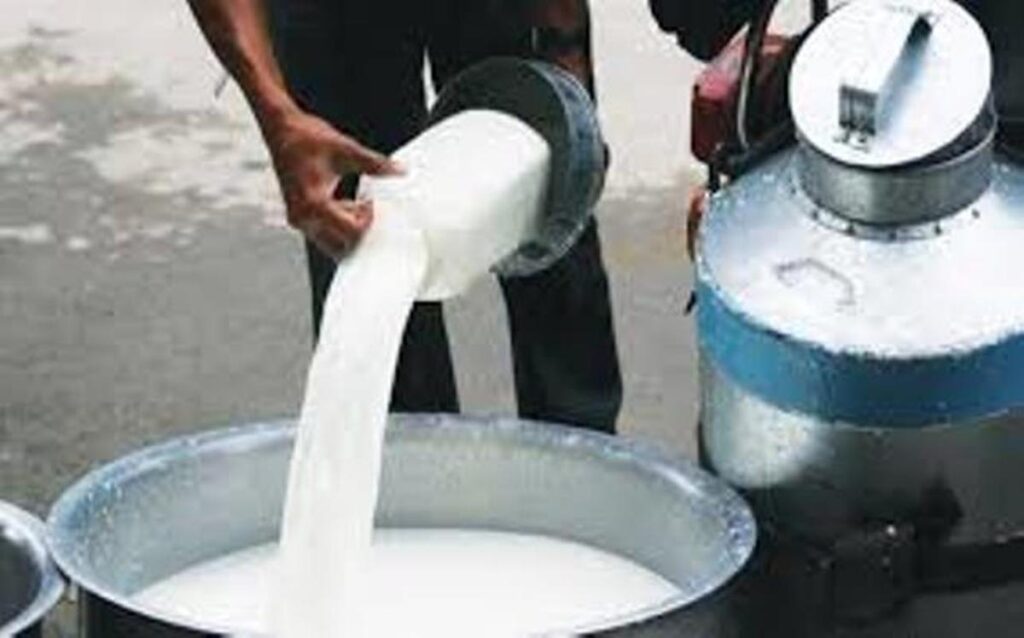 भारतबाट दूध आयात गरिए नारायणी नदिमा बगाइदिने किसानको चेतावनी image