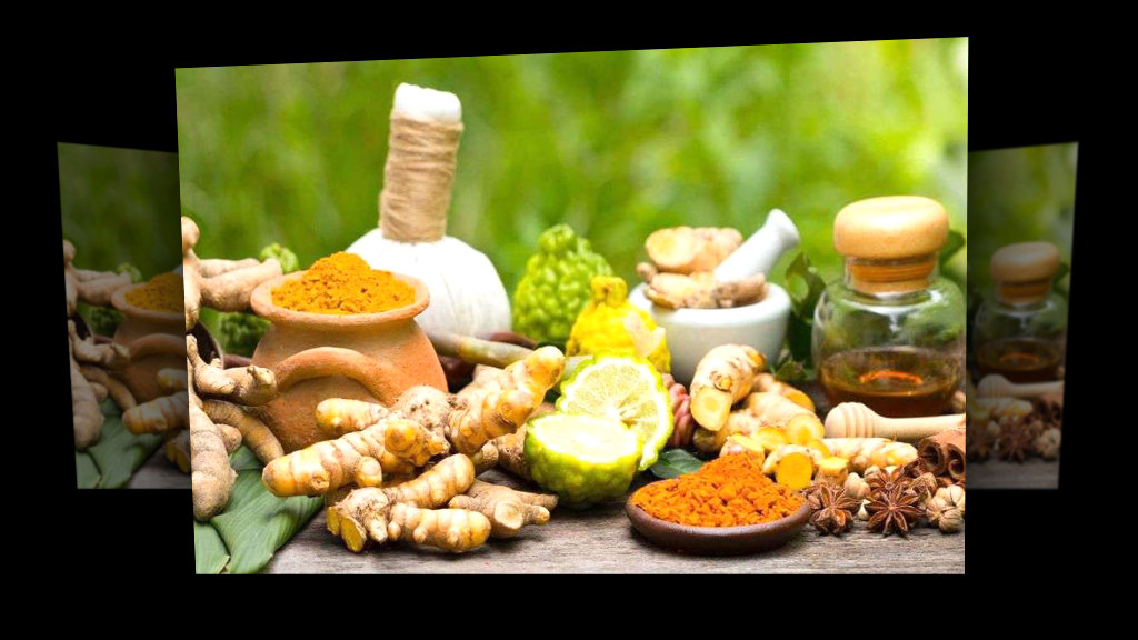 आयुर्वेद स्वास्थ्य शिविर