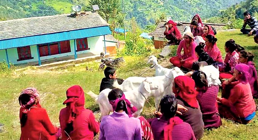 स्थानीय सरकारको बजेटमा बिचौलिया सस्थाकाे मनपरि image