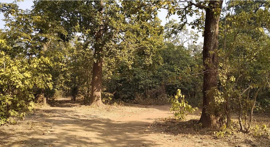 ६ वटा प्रदेशले चार वर्षमा जग्गासमेत जुटाउन सकेनन् image