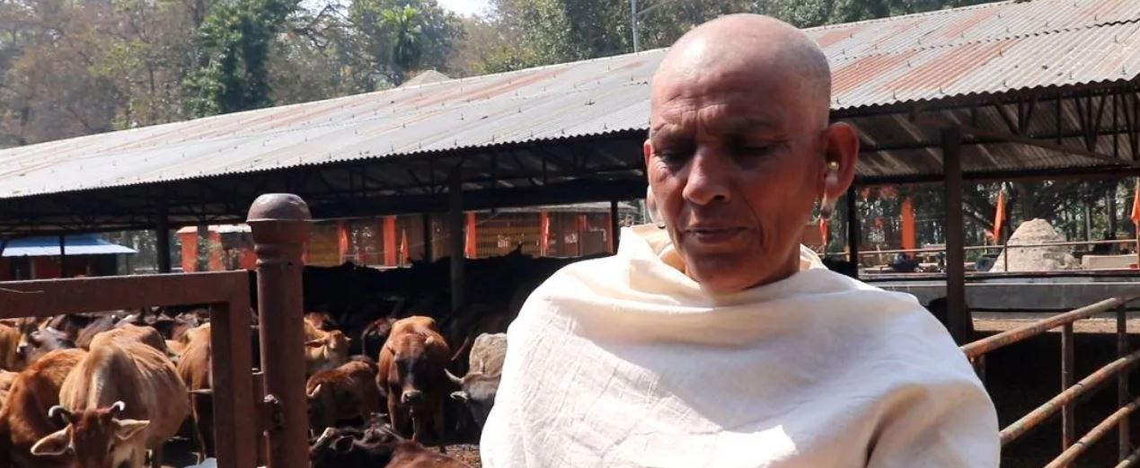 गाईको शोकमा किरिया……. image