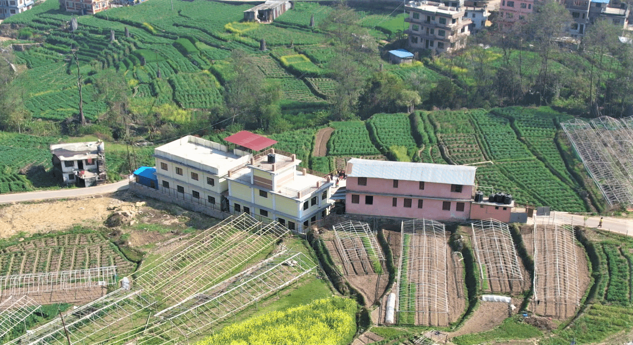 सात जना विद्यार्थी  र १३ जना शिक्षक रहेको विद्यालय अहिले नमुना image