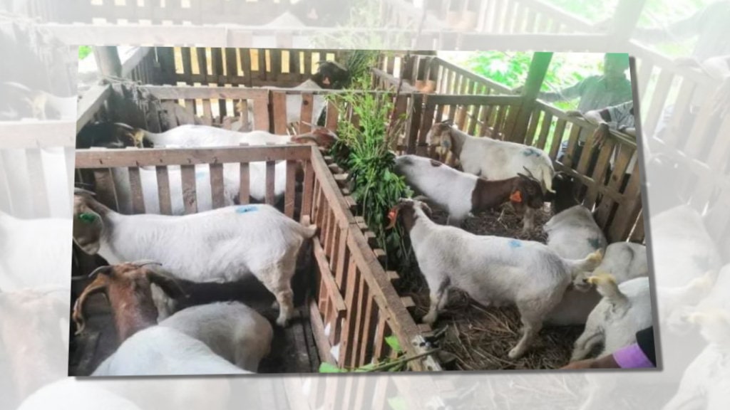अनुदान रकम वितरण गर्दा कृषक खुशी
