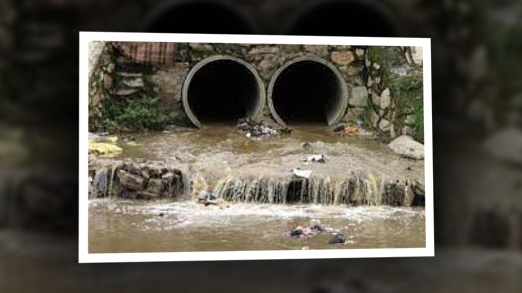फोहर मिसिन थाल्यो नदीमा image