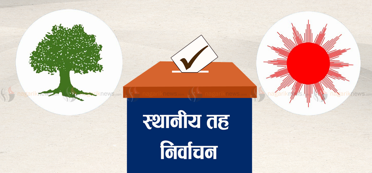 भक्तपुरको तीन नगरमा कांग्रेस र एकमा नेमकिपाको अग्रता image
