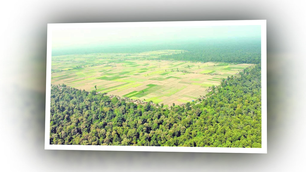 सर्वोच्चले विकासविरोधी फैसला गर्‍यो : सरकार र संसद् image