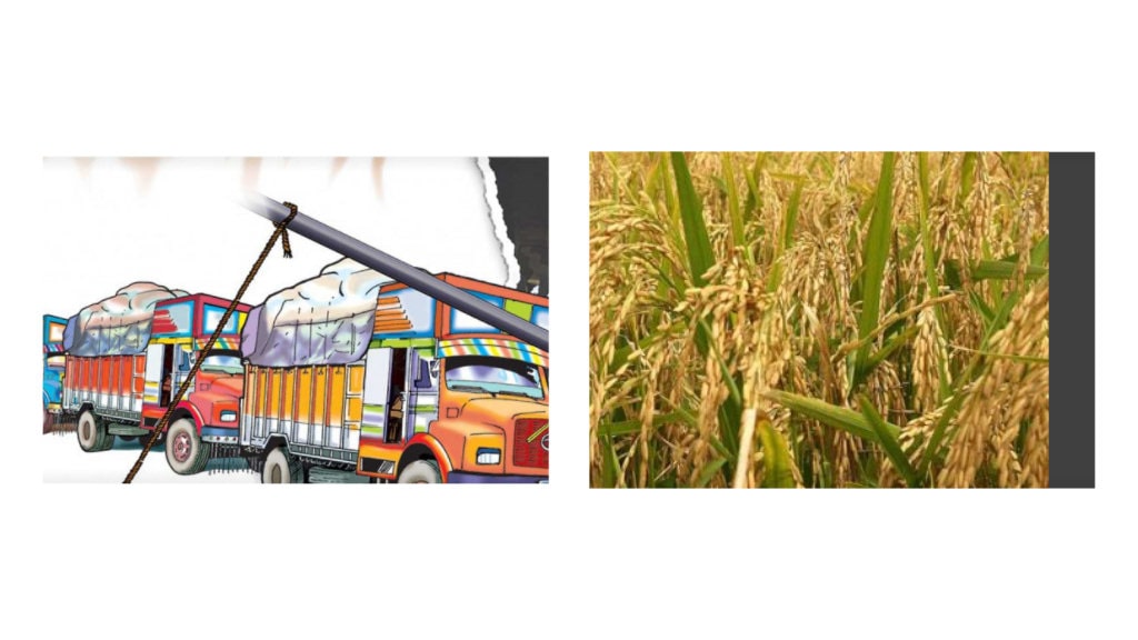 धान दिवस मनाईरहदा : १५ अर्बभन्दा बढीको धान मात्रै आयत image