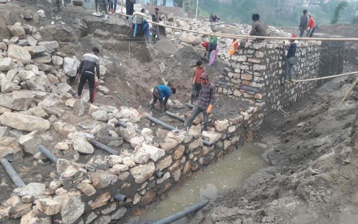 नयाँ बसपार्क विष्णुमति करिडोरमा वृक्षरोपण