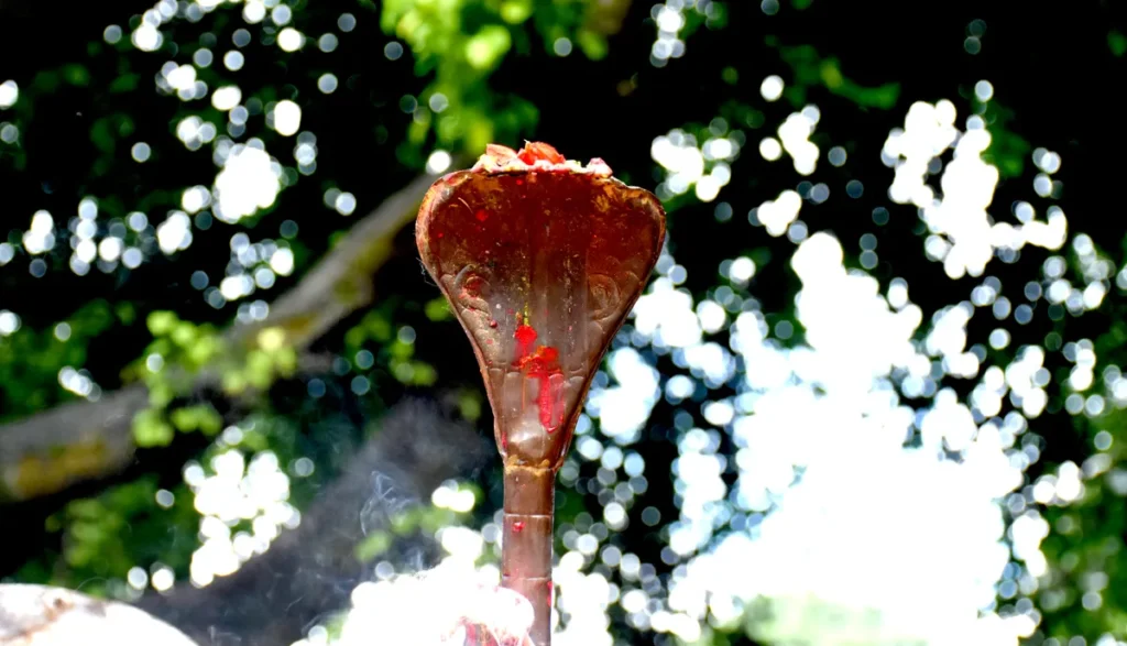 नाग पञ्चमीः मूलढोकामा नागको चित्र टाँसी पूजा गरिदै