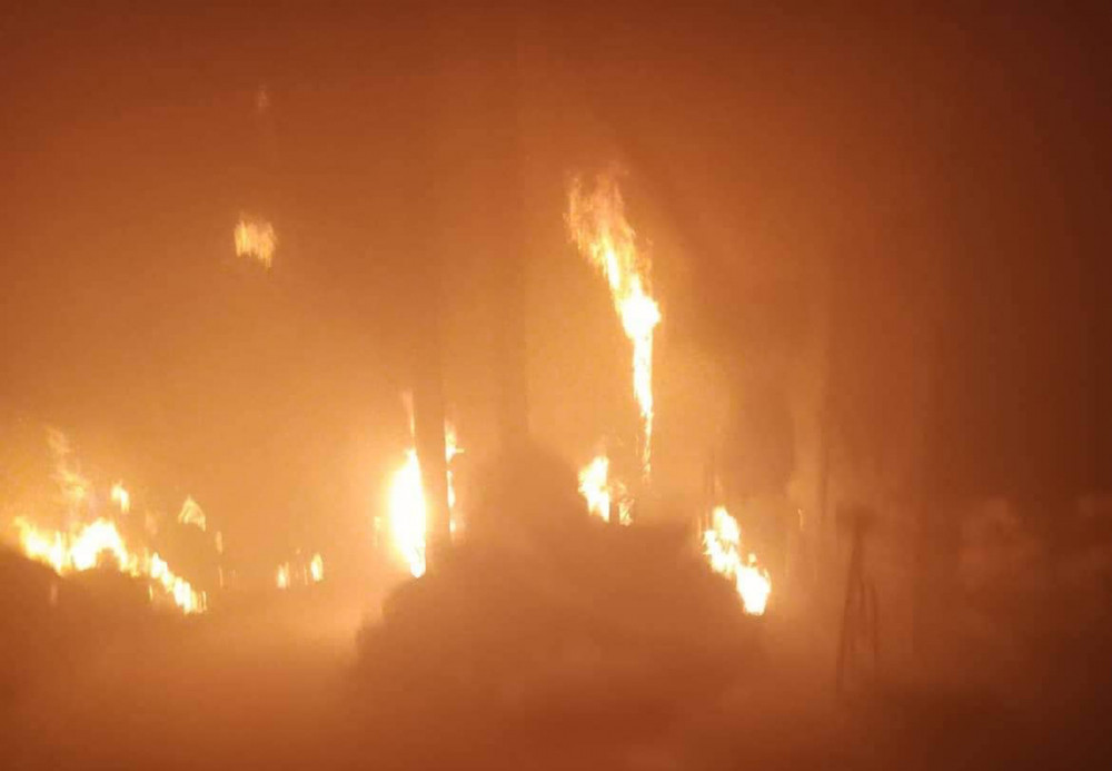 चितवनमा दाना उद्योगमा आगलागी image