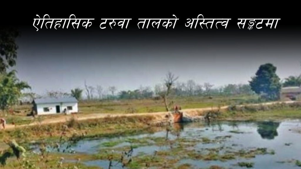 ऐतिहासिक टरुवा तालको अस्तित्व सङ्कटमा