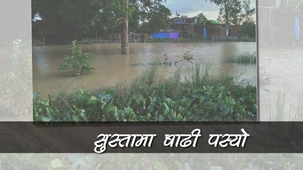 पश्चिम नवलपरासीको सुस्तामा बाढी पस्यो image