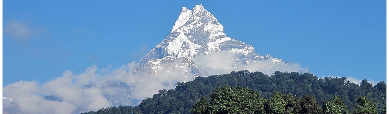 माछापुच्छ्रेको केन्द्र जोड्ने सडक अलपत्र image