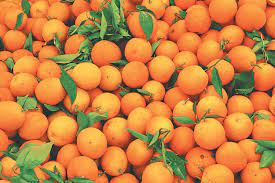 दोसल्ले गाउँमा बोटबाटै सुन्तला बिक्री