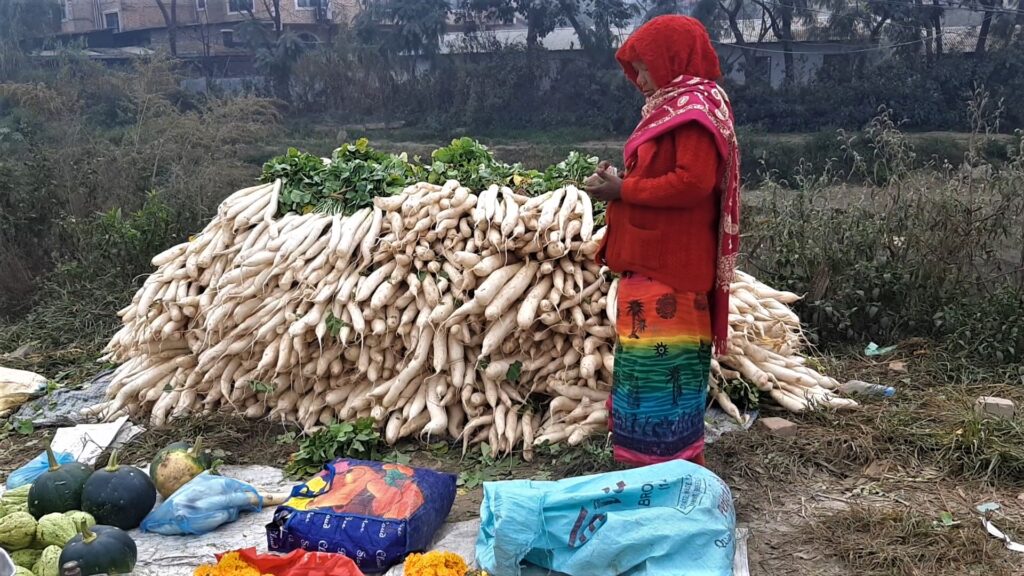 मूला बेच्ने आमा, जसले कमाउँछन् एक महिनामा पच्चिस लाख (भिडियोसहित)
