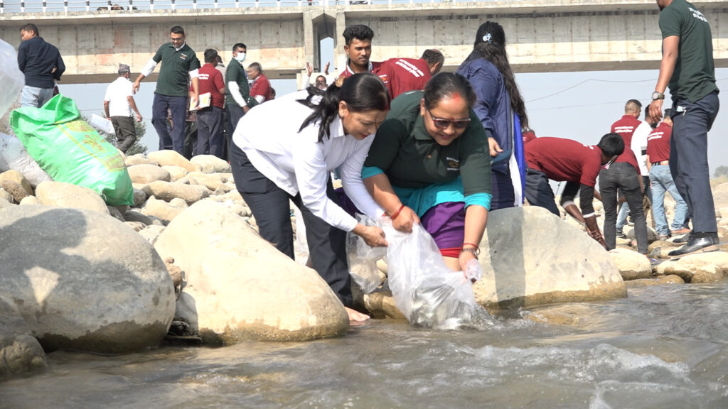आँधीखोलामा छाडियो माछाका भुरा