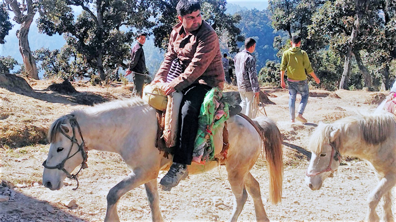 घोडाले पर्यटक बोक्न थाले, प्यारीबाराही ताल परिसरमा तबेला बनाइयो image