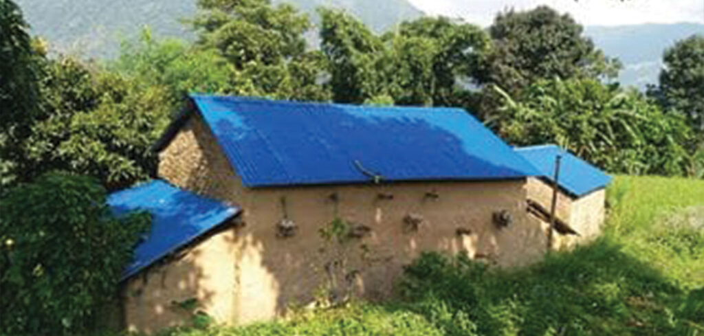 विपन्नको घरमा जस्तापाताको छानो